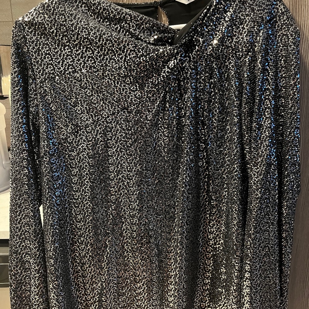 Zara sequin top